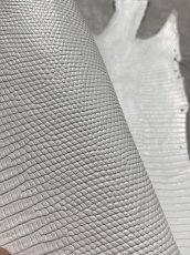 画像7: リザード　トカゲ革　ホワイト　28cm　エキゾチックレザー (7)