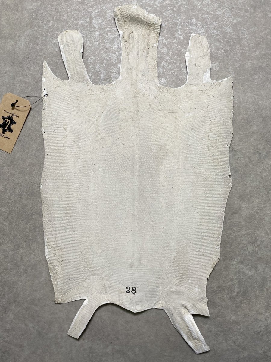 画像8: リザード　トカゲ革　ホワイト　28cm　エキゾチックレザー (8)