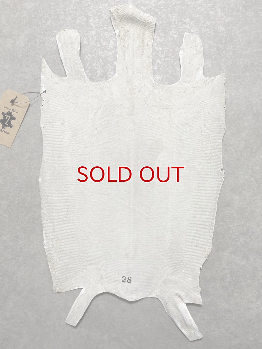 画像8: リザード　トカゲ革　ホワイト　28cm　エキゾチックレザー (8)