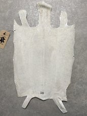 画像8: リザード　トカゲ革　ホワイト　28cm　エキゾチックレザー (8)
