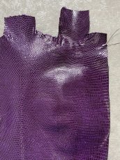 画像3: リザード　トカゲ革　パープル　28cm　エキゾチックレザー (3)