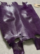 画像6: リザード　トカゲ革　パープル　28cm　エキゾチックレザー (6)