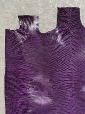 画像2: リザード　トカゲ革　パープル　28cm　エキゾチックレザー (2)