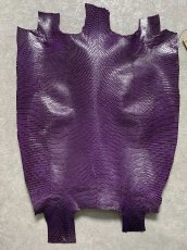 画像1: リザード　トカゲ革　パープル　28cm　エキゾチックレザー (1)