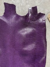 画像3: リザード　トカゲ革　パープル　28cm　エキゾチックレザー (3)