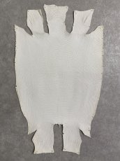 画像1: リザード　トカゲ革　マットホワイト　２５cm　エキゾチックレザー (1)