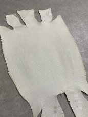 画像3: リザード　トカゲ革　マットホワイト　２５cm　エキゾチックレザー (3)