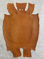 画像1: リザード　トカゲ革　水染めマットキャメル　２９cm　エキゾチックレザー (1)