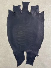 画像1: リザード　トカゲ革　水染めマットネイビー　２９cm　エキゾチックレザー (1)