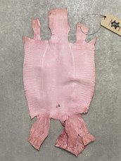 画像10: リザード　ピンク  23cm　トカゲ革　爬虫類　エキゾチックレザー (10)