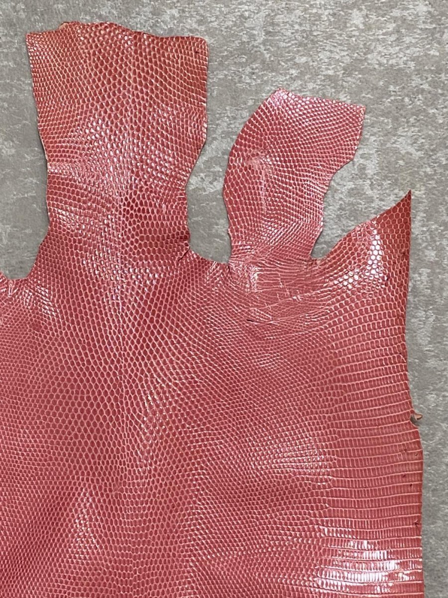 画像3: リザード ピンク  24cm トカゲ革 爬虫類 エキゾチックレザー (3)