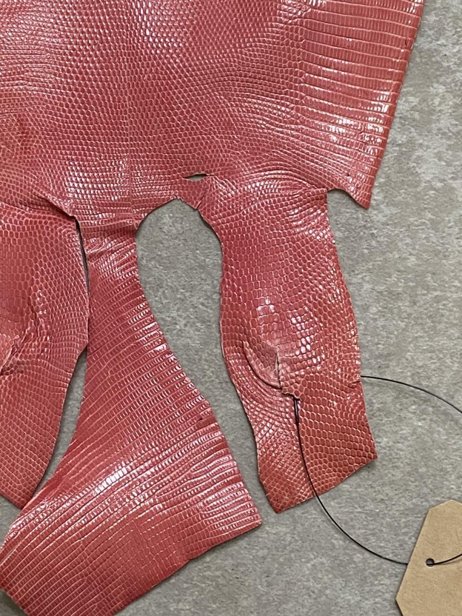 画像5: リザード ピンク  24cm トカゲ革 爬虫類 エキゾチックレザー (5)