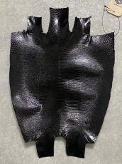 画像1: リザード　トカゲ革　ブラック　30cm　エキゾチックレザー (1)