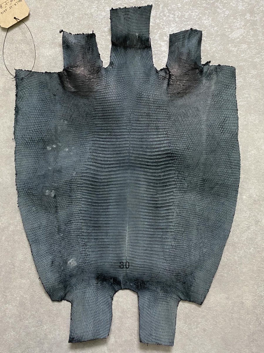 画像9: リザード トカゲ革 ブラック 30cm エキゾチックレザー (9)