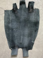 画像9: リザード　トカゲ革　ブラック　30cm　エキゾチックレザー (9)