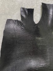 画像6: リザード　トカゲ革　ブラック　30cm　エキゾチックレザー (6)