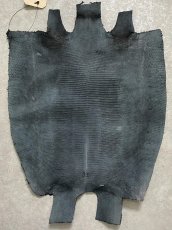 画像10: リザード　トカゲ革　ブラック　31cm　エキゾチックレザー (10)