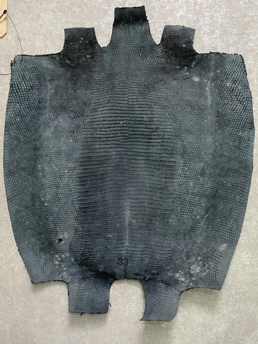 画像8: リザード　トカゲ革　ブラック　33cm　エキゾチックレザー (8)