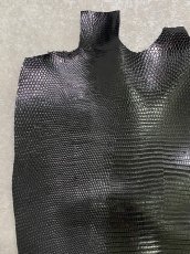 画像2: リザード　トカゲ革　ブラック　30cm　エキゾチックレザー (2)
