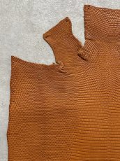 画像2: リザード　トカゲ革　マットキャメル　28cm　エキゾチックレザー (2)
