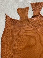 画像2: リザード　トカゲ革　マットキャメル　29cm　エキゾチックレザー (2)