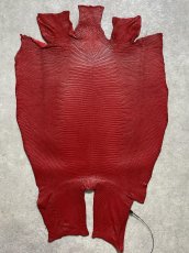 画像1: リザード　トカゲ革　マットレッド　28cm　エキゾチックレザー (1)
