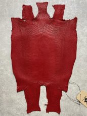 画像1: リザード　トカゲ革　マットレッド　28cm　エキゾチックレザー (1)