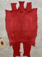 画像8: リザード　トカゲ革　マットレッド　28cm　エキゾチックレザー (8)