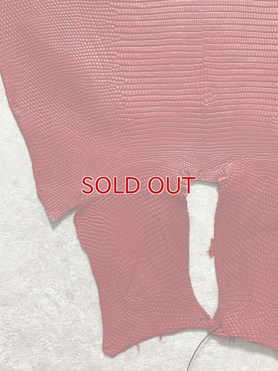 画像4: リザード　トカゲ革　マットレッド　28cm　エキゾチックレザー (4)