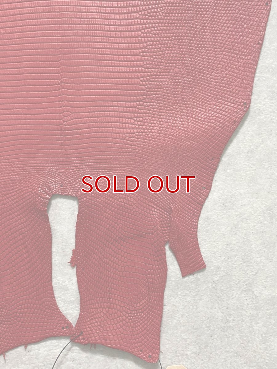 画像5: リザード　トカゲ革　マットレッド　28cm　エキゾチックレザー (5)