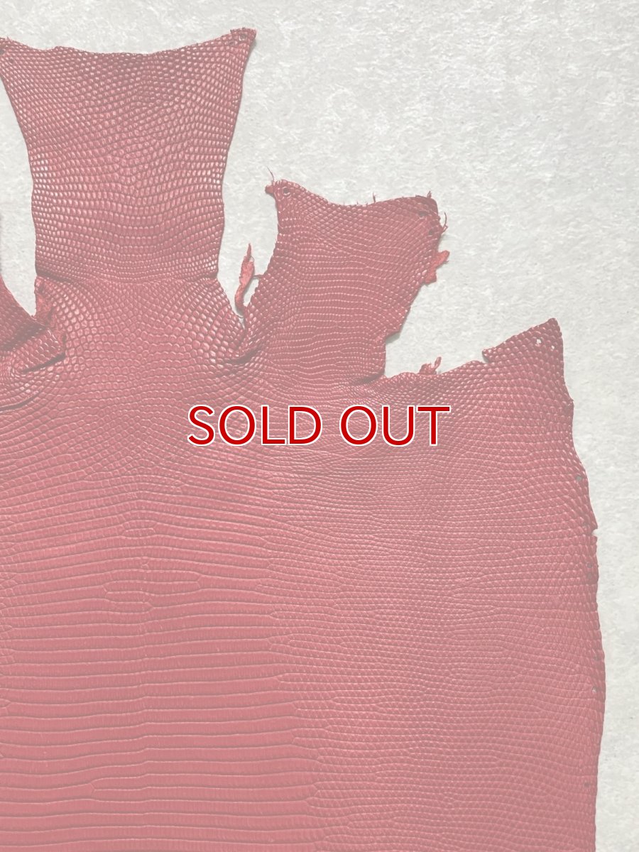 画像3: リザード　トカゲ革　マットレッド　28cm　エキゾチックレザー (3)