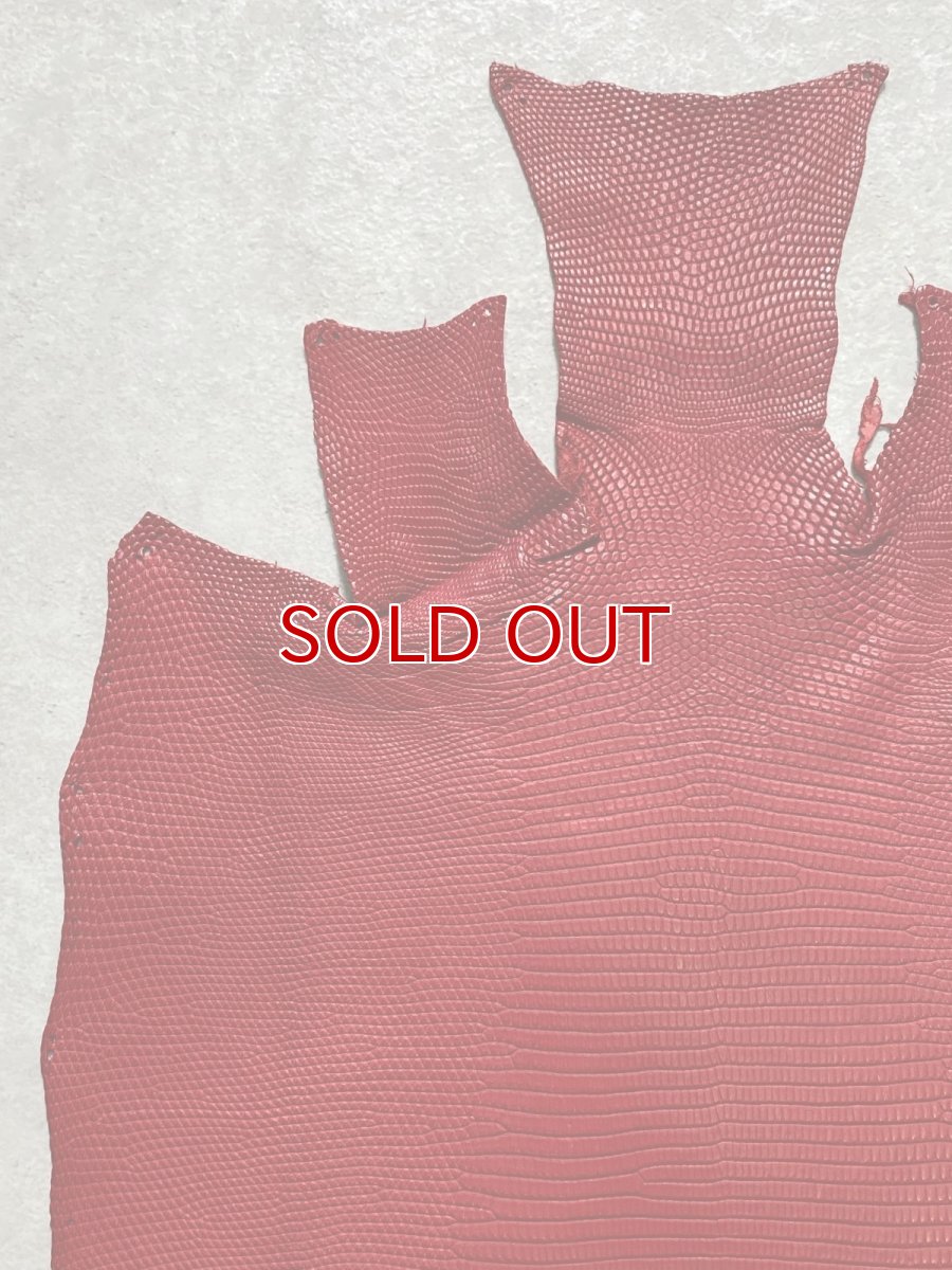 画像2: リザード　トカゲ革　マットレッド　28cm　エキゾチックレザー (2)