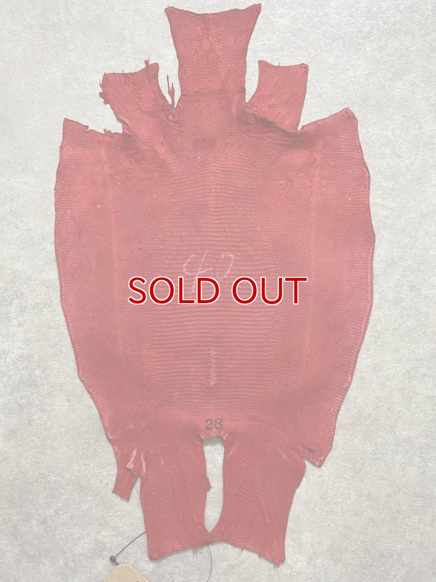 画像8: リザード　トカゲ革　マットレッド　28cm　エキゾチックレザー (8)