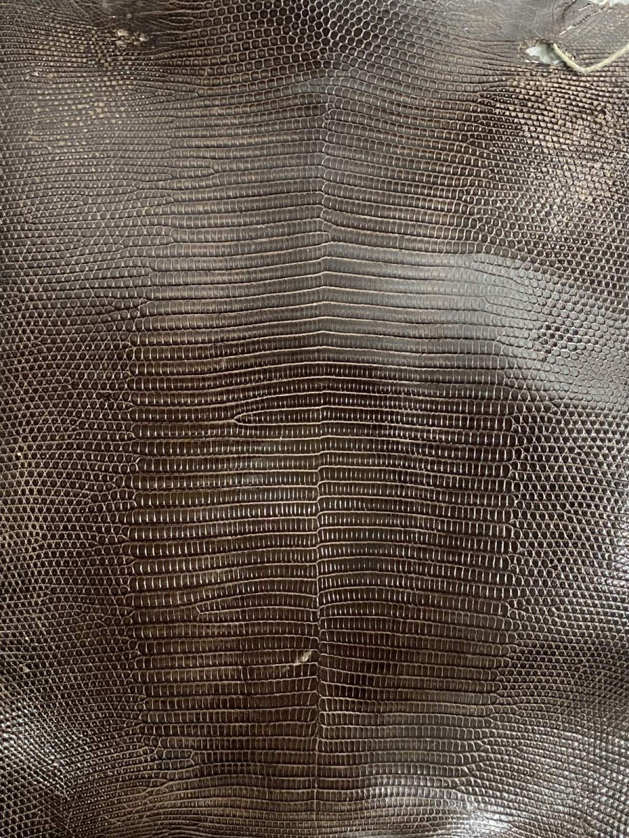 画像2: リザード　ニコチン  29cm　トカゲ革　エキゾチックレザー (2)
