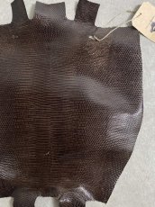 画像4: リザード　ニコチン  29cm　トカゲ革　エキゾチックレザー (4)