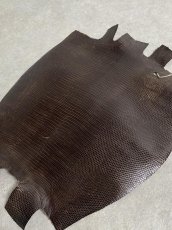 画像5: リザード　ニコチン  29cm　トカゲ革　エキゾチックレザー (5)