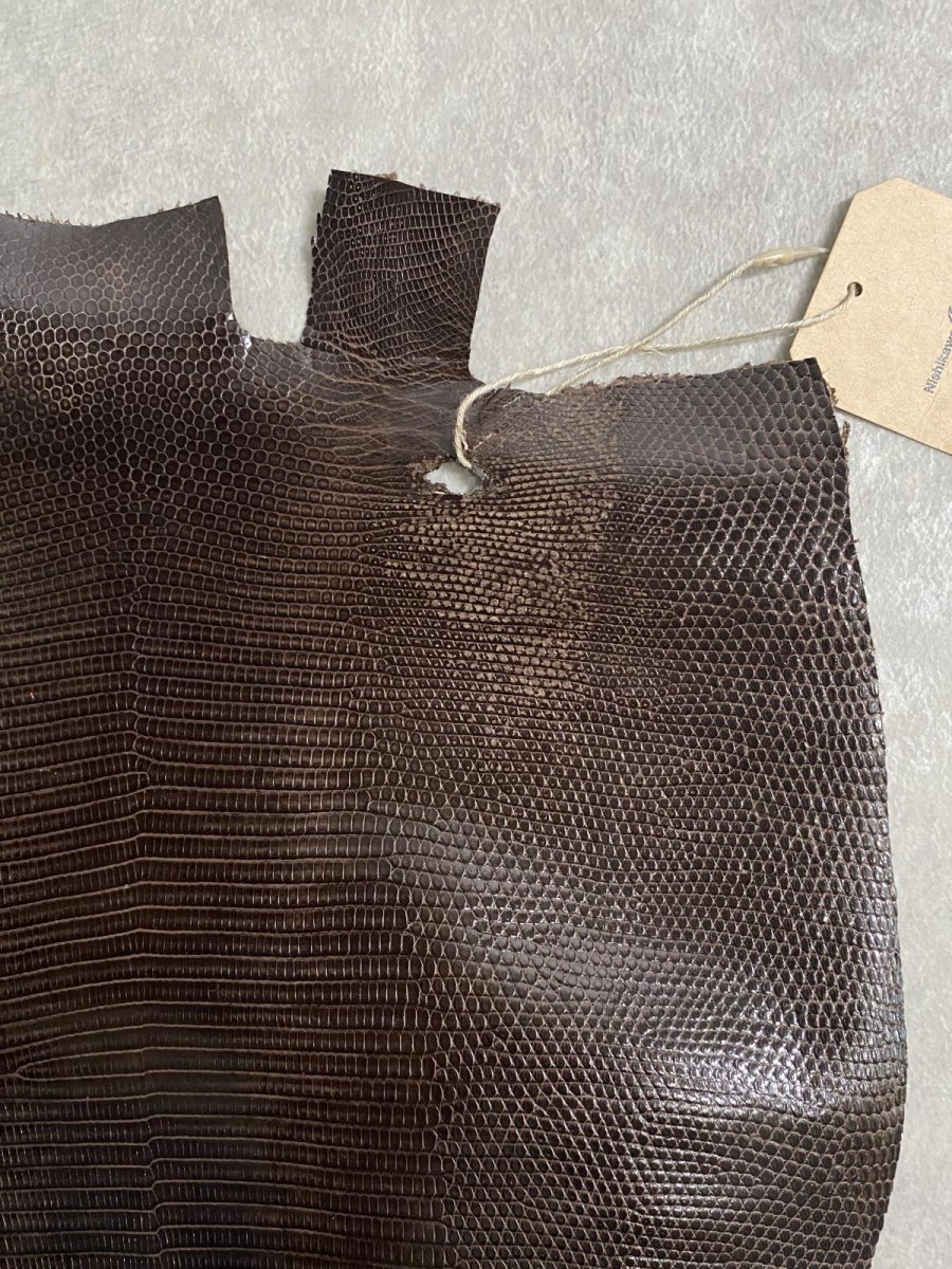 画像6: リザード　ニコチン  29cm　トカゲ革　エキゾチックレザー (6)