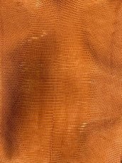 画像2: リザード　オレンジ　28cm (2)