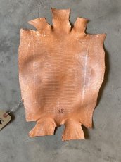 画像3: リザード　オレンジ　28cm (3)