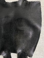 画像4: リザード　トカゲ革　ブラック　30cm　 (4)