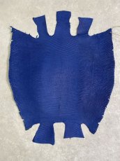 画像1: リザード　マットブルー  35cm (1)