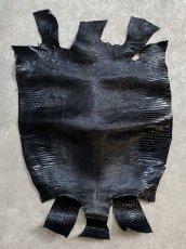 画像1: リザード　ブラック　24cm (1)