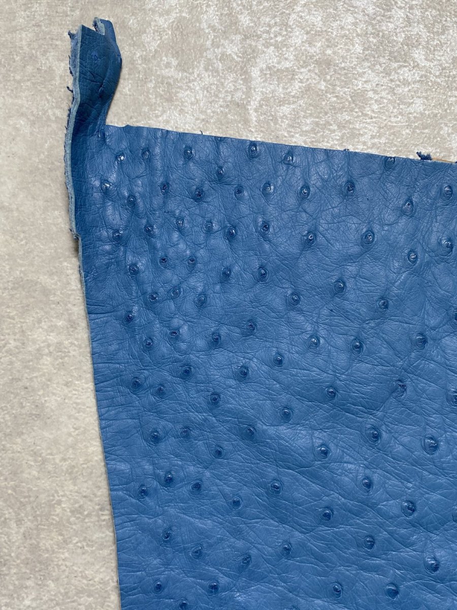 画像2: オーストリッチ革ハギレ　ブルージーン　ダチョウの革　オーストリッチレザー　エキゾチックレザー (2)