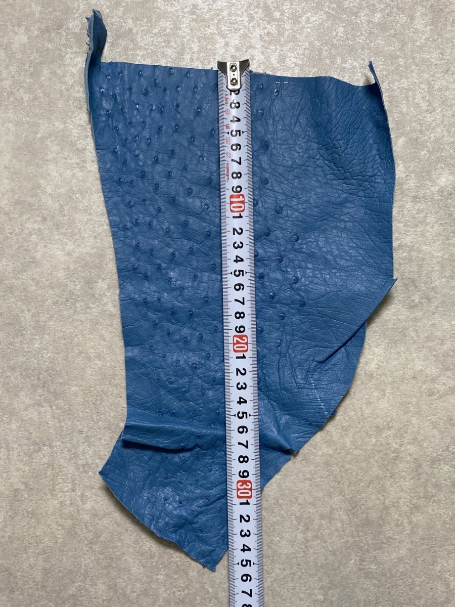 画像6: オーストリッチ革ハギレ　ブルージーン　ダチョウの革　オーストリッチレザー　エキゾチックレザー (6)