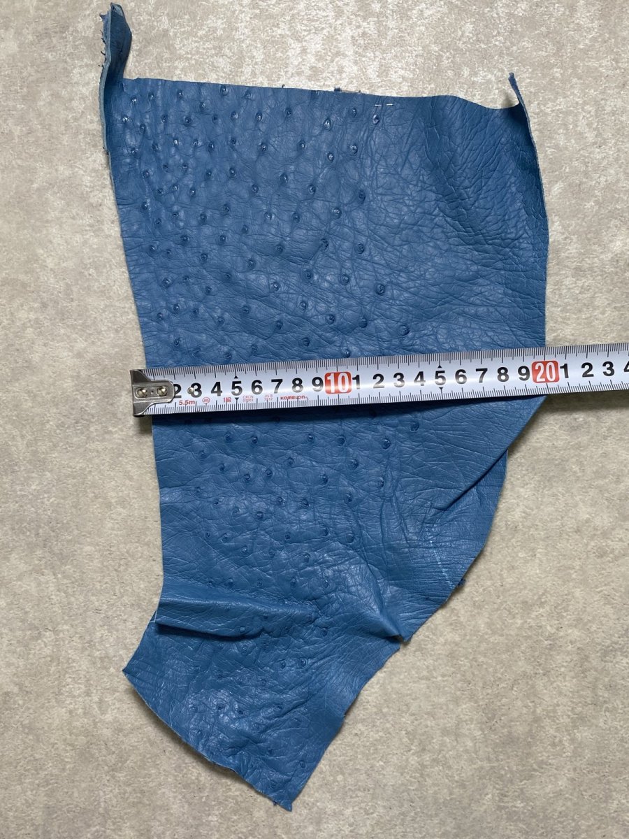 画像5: オーストリッチ革ハギレ　ブルージーン　ダチョウの革　オーストリッチレザー　エキゾチックレザー (5)
