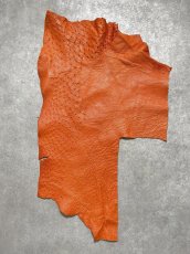 画像1: オーストリッチ革ハギレ　オレンジ　ダチョウの革　オーストリッチレザー　エキゾチックレザー (1)