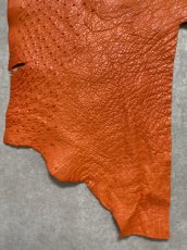 画像4: オーストリッチ革ハギレ　オレンジ　ダチョウの革　オーストリッチレザー　エキゾチックレザー (4)