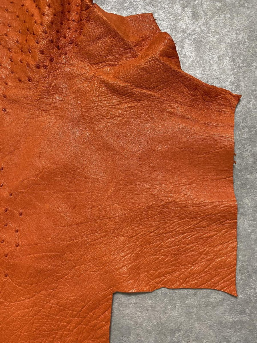 画像3: オーストリッチ革ハギレ　オレンジ　ダチョウの革　オーストリッチレザー　エキゾチックレザー (3)