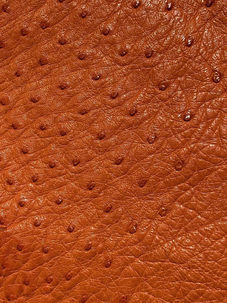 画像5: オーストリッチ革ハギレ　オレンジ　ダチョウの革　オーストリッチレザー　エキゾチックレザー (5)