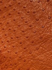 画像5: オーストリッチ革ハギレ　オレンジ　ダチョウの革　オーストリッチレザー　エキゾチックレザー (5)